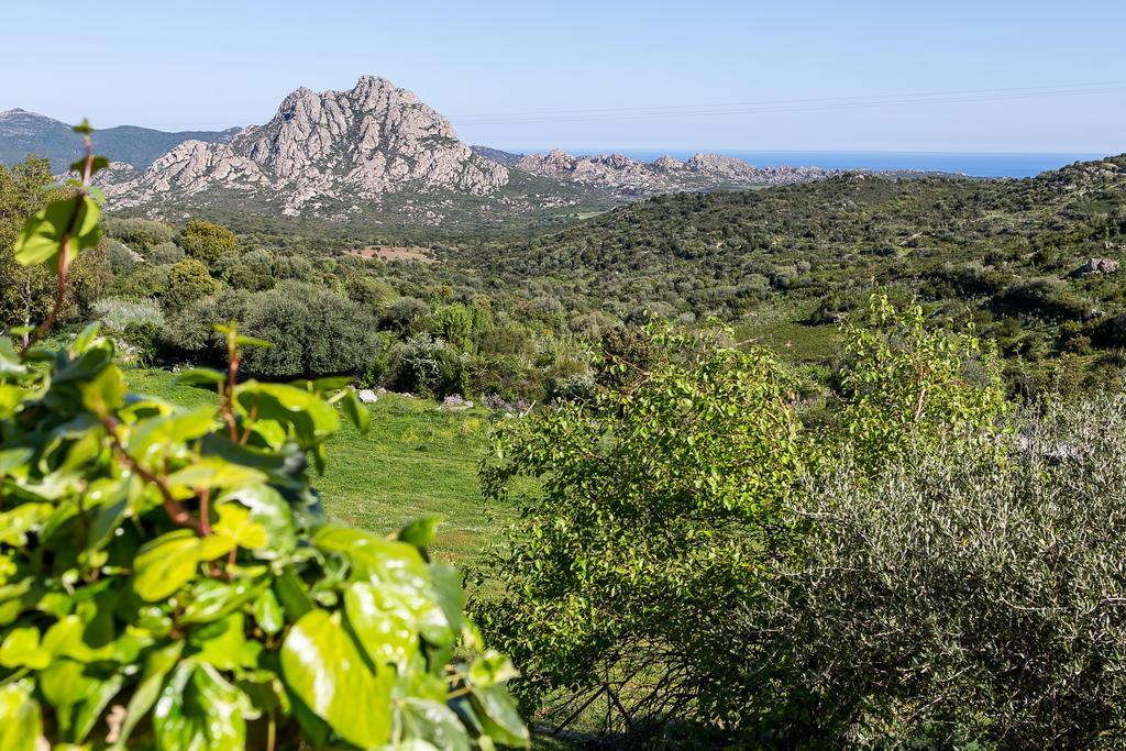 מלון Casta Relais De Saleccia מראה חיצוני תמונה